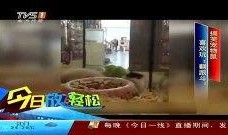 今日一线线上爆料,揭秘娱乐圈幕后真相